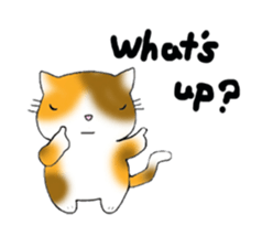 Cute kitten colon 3 English sticker #7717622