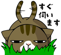 mamecat part9 sticker #7719466