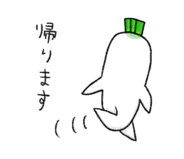 Japanese white radish 4 sticker #7719882