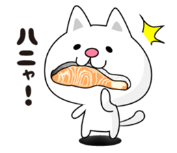 Here there was a cat4. sticker #7721548