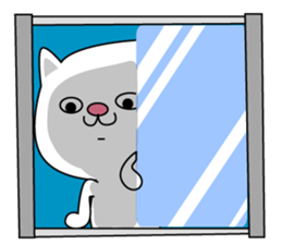 Here there was a cat4. sticker #7721563