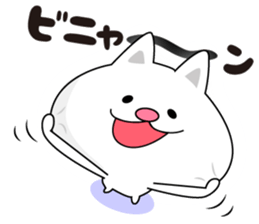 Here there was a cat4. sticker #7721565