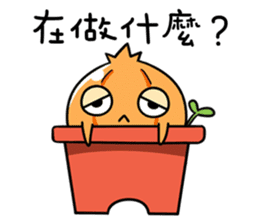 Onion boy-What the onion!! sticker #7722014