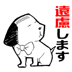 Dog of thinning hair