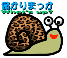 Snail of leopard sticker #7723068