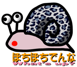 Snail of leopard sticker #7723069