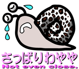 Snail of leopard sticker #7723087