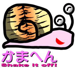 Snail of leopard sticker #7723095