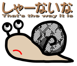 Snail of leopard sticker #7723103