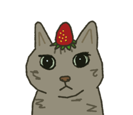 Noah Jones sticker #7723759