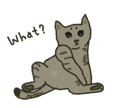 Noah Jones sticker #7723765