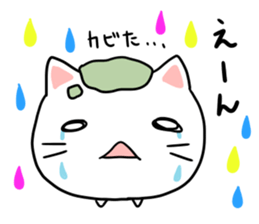 cat Japanese confectionery shop sticker #7726917