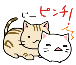 cat Japanese confectionery shop sticker #7726918