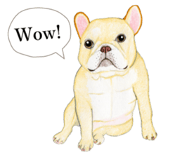 French Bulldog Sticker3 sticker #7727416