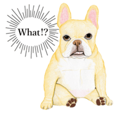 French Bulldog Sticker3 sticker #7727421