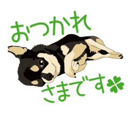 Chihuahua of COCO and LOUIS honorific sticker #7728193