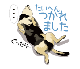 Chihuahua of COCO and LOUIS honorific sticker #7728194