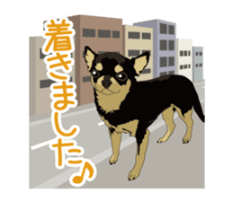 Chihuahua of COCO and LOUIS honorific sticker #7728197