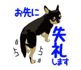 Chihuahua of COCO and LOUIS honorific sticker #7728199