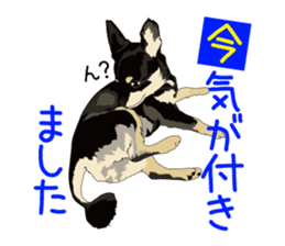 Chihuahua of COCO and LOUIS honorific sticker #7728201