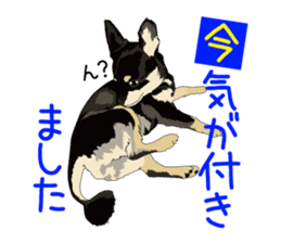 Chihuahua of COCO and LOUIS honorific sticker #7728201