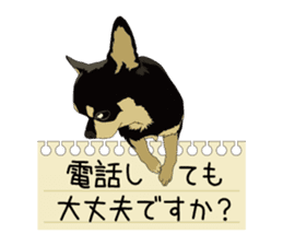 Chihuahua of COCO and LOUIS honorific sticker #7728202