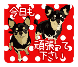 Chihuahua of COCO and LOUIS honorific sticker #7728204