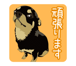 Chihuahua of COCO and LOUIS honorific sticker #7728205