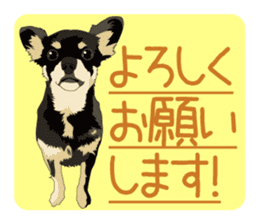 Chihuahua of COCO and LOUIS honorific sticker #7728206