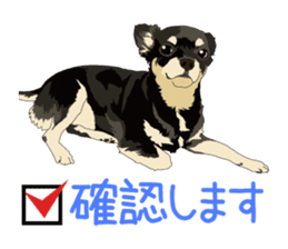 Chihuahua of COCO and LOUIS honorific sticker #7728207