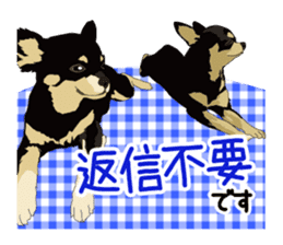 Chihuahua of COCO and LOUIS honorific sticker #7728209