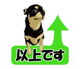 Chihuahua of COCO and LOUIS honorific sticker #7728211