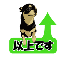Chihuahua of COCO and LOUIS honorific sticker #7728211