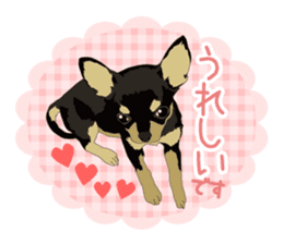 Chihuahua of COCO and LOUIS honorific sticker #7728212