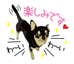 Chihuahua of COCO and LOUIS honorific sticker #7728213