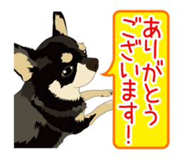 Chihuahua of COCO and LOUIS honorific sticker #7728215