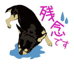 Chihuahua of COCO and LOUIS honorific sticker #7728216