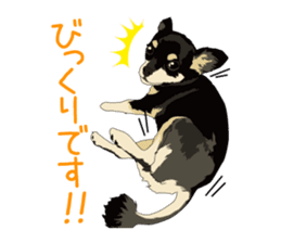 Chihuahua of COCO and LOUIS honorific sticker #7728217