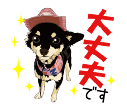 Chihuahua of COCO and LOUIS honorific sticker #7728219