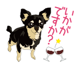 Chihuahua of COCO and LOUIS honorific sticker #7728221
