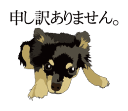 Chihuahua of COCO and LOUIS honorific sticker #7728222
