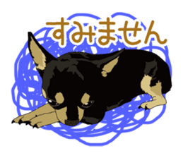 Chihuahua of COCO and LOUIS honorific sticker #7728223