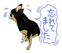 Chihuahua of COCO and LOUIS honorific sticker #7728224