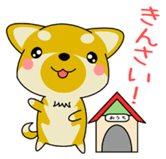 Dialect! The puppy from Hiroshima Vol.2. sticker #7728326