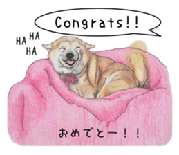 Favorite parts of SHIBAINU5 -English- sticker #7728394