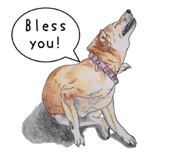 Favorite parts of SHIBAINU5 -English- sticker #7728425