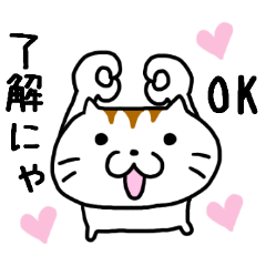 Is usable; is Mr. cat