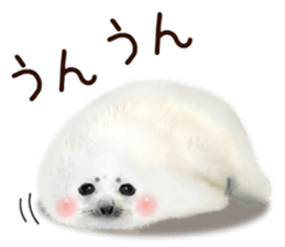 Realistic seal 2 sticker #7729075