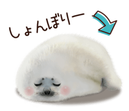 Realistic seal 2 sticker #7729090