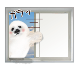Realistic seal 2 sticker #7729100